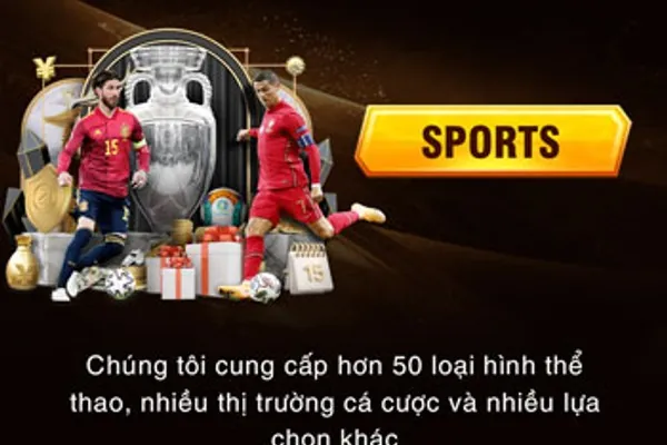 Cá cược thể thao Win23