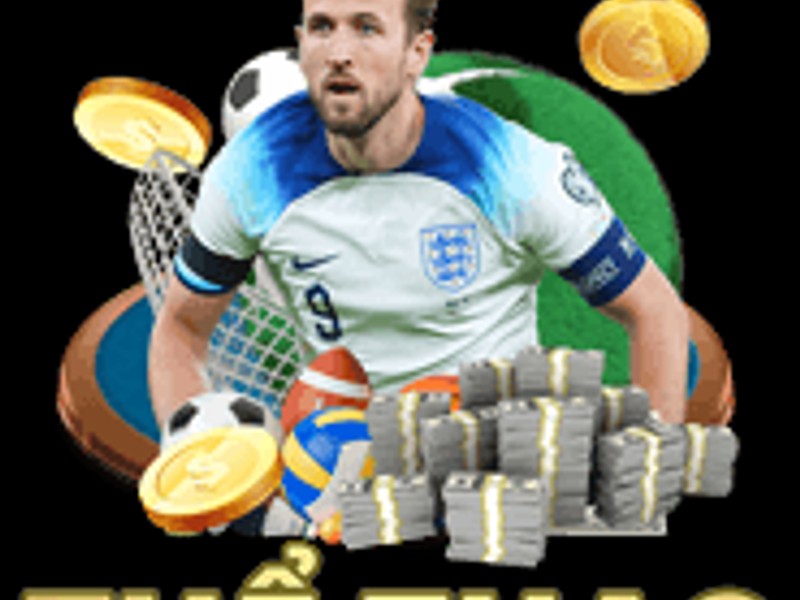 Cá cược thể thao tại Win23
